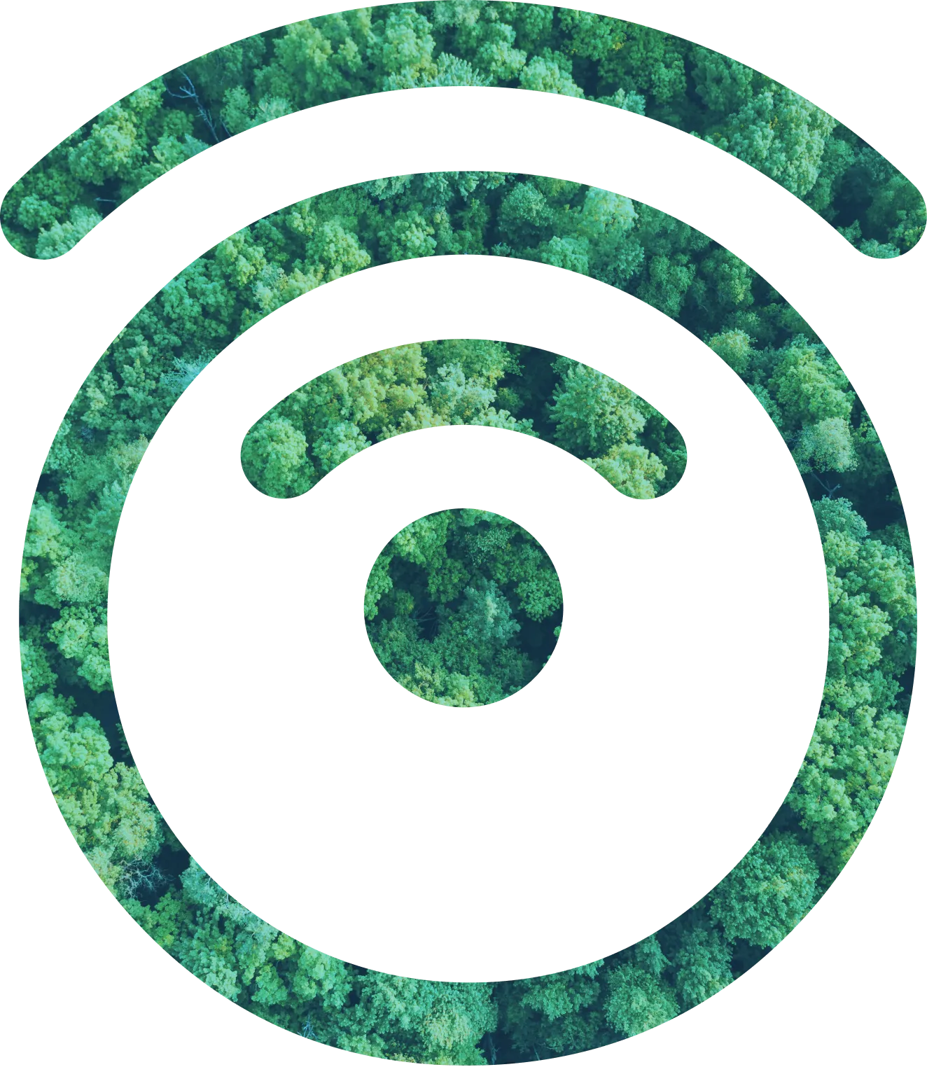 decorazione-alberi-ecco-virtual-brain-monitoraggio-consumi-elettrici